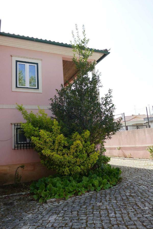 Casa Da Palmeira Лейрия Экстерьер фото